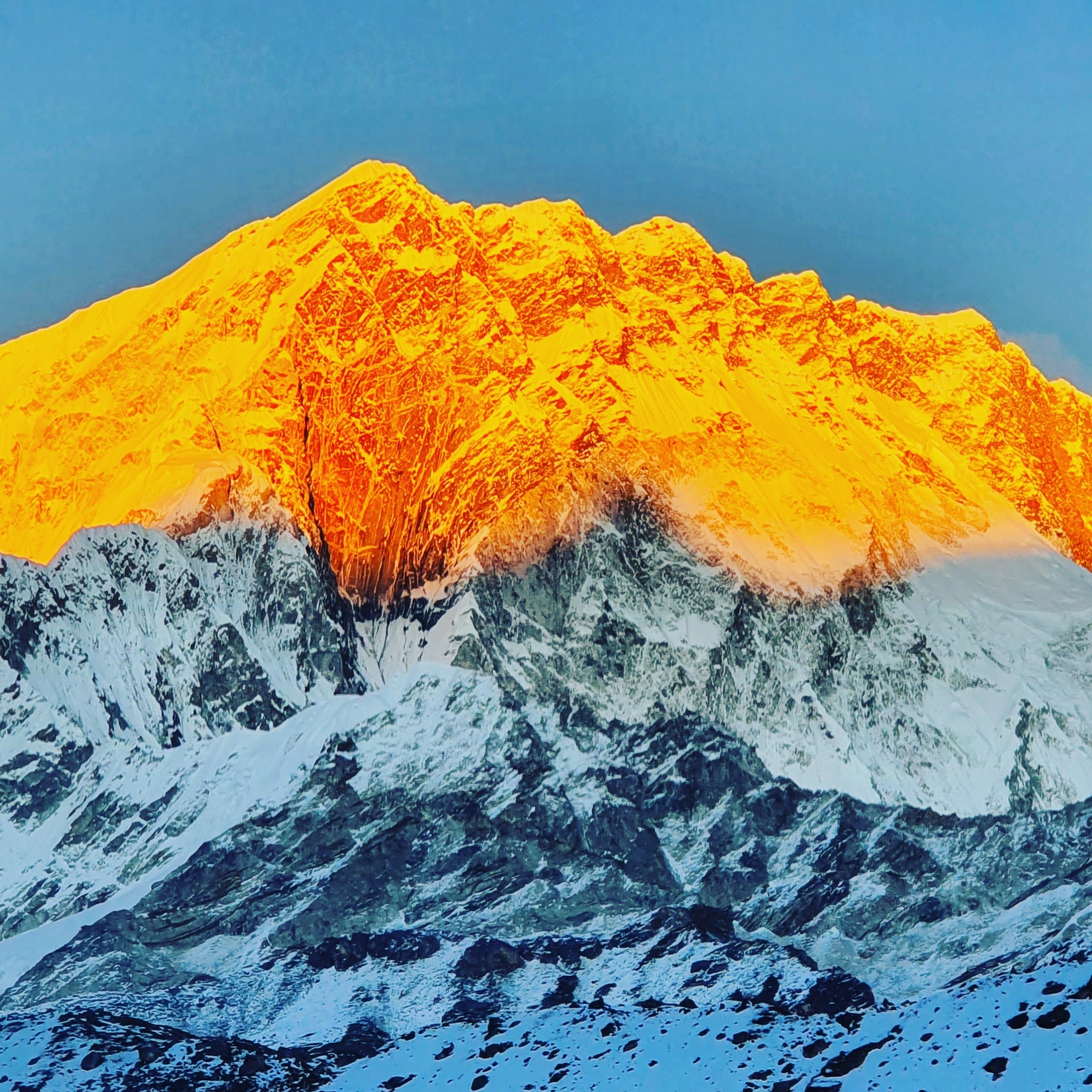 AMS recognized for 14 consecutive years as a Leader in Everest Group ...