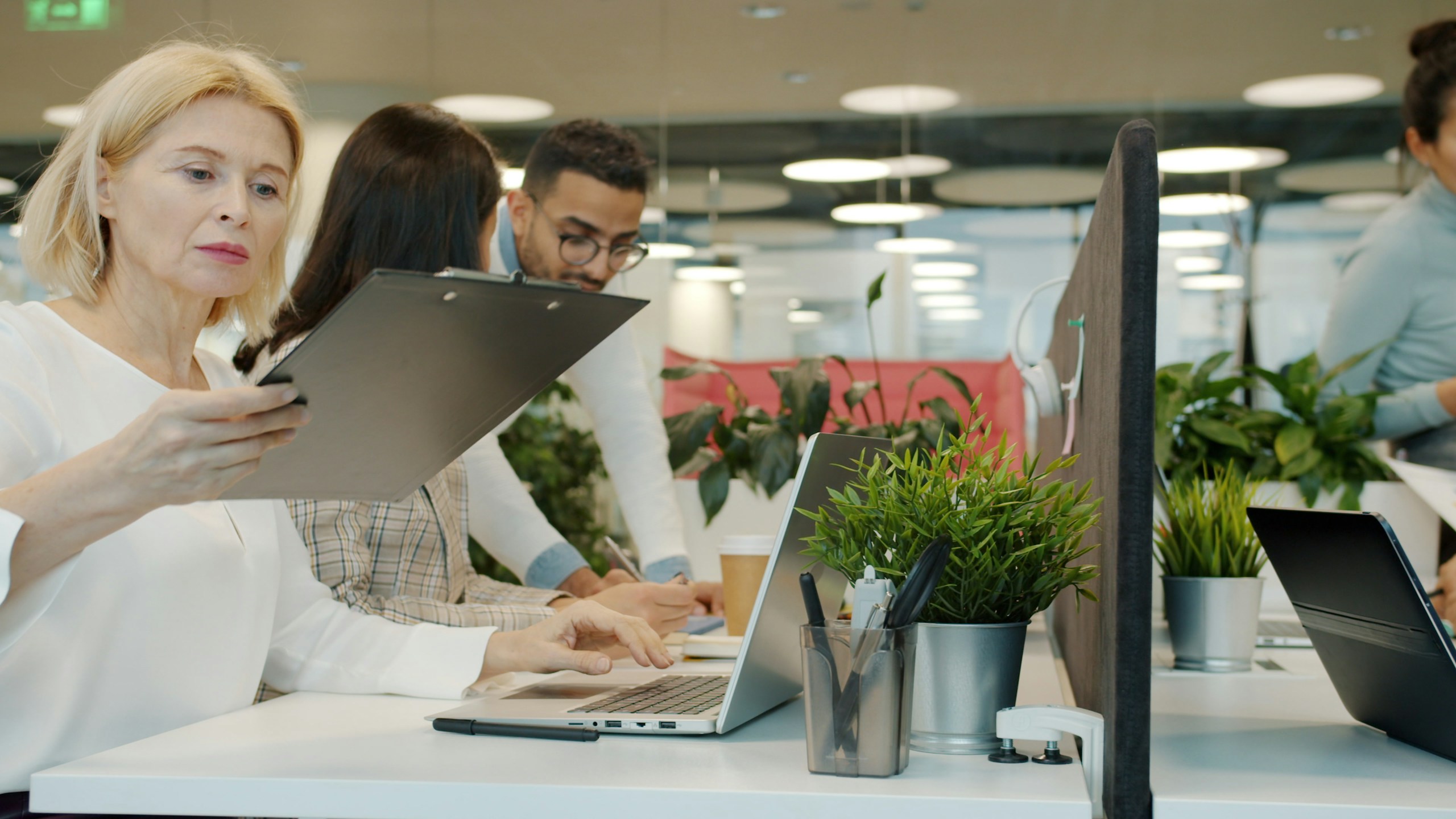 Multiracial team of employees are working at project in shared workspace using laptops talking exchanging documents. People and workplace concept.
